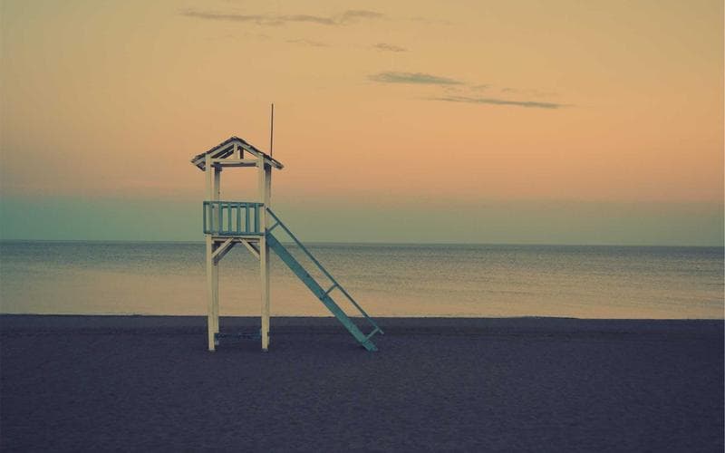 2021 Toyota Corolla – photo 2 of 4