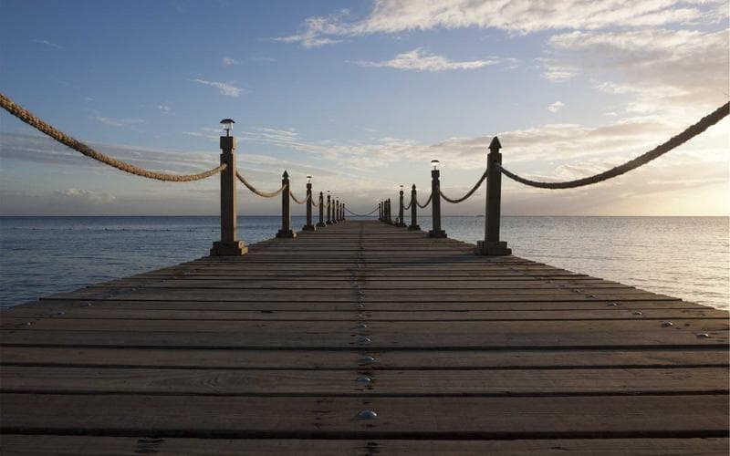 2021 Honda CR-V – photo 2 of 4