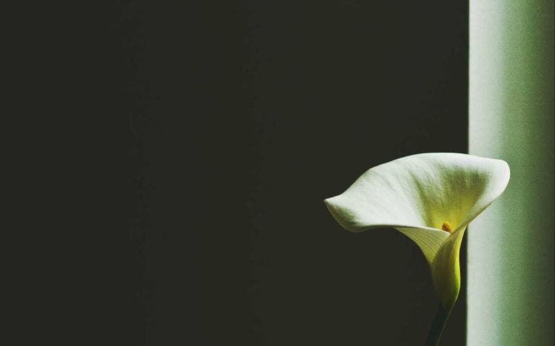 2021 Hyundai Santa Fe – photo 3 of 4